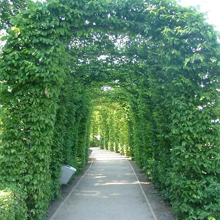 Sara Buskam Mit Terrasse Goehren (Ruegen)